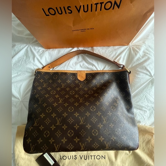 AUTHENTIC LOUIS VUITTON ✨ SLOUCHY HOBO 🔸DELIGHTFUL MM W DUST BAG - Picture 1 of 16